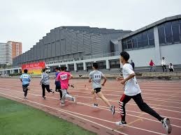 东契奇50+三双，独行侠冲西部前四