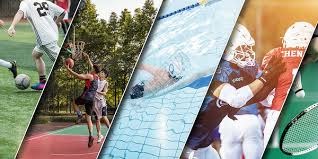 瑞昌羽球大师赛打入4强 诺瓦赞艾迪尔很努力